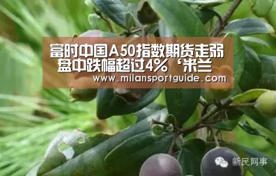 富时中国A50指数期货走弱 盘中跌幅超过4%‘米兰赛事’(图4) 米兰入口